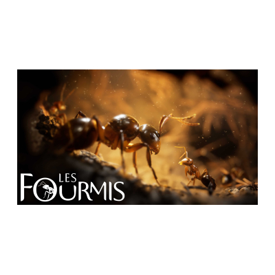 Les Fourmis : Un premier trailer du jeu vidéo adapté du roman de Bernard Weber par Microids