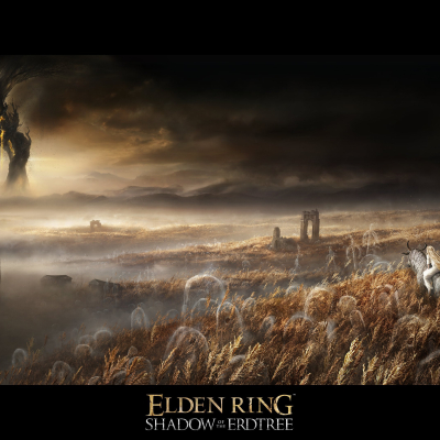 Elden Ring : Des indices sur Steam pour un futur DLC ?